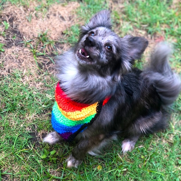 Crocheted Rainbow Bandana For Pets - Picture 1 of 5